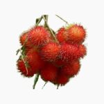 Biibit Rambutan Binjai Cover