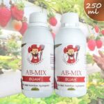 ab-mix-buah