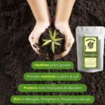 neem-cake